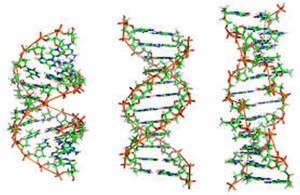 DNA