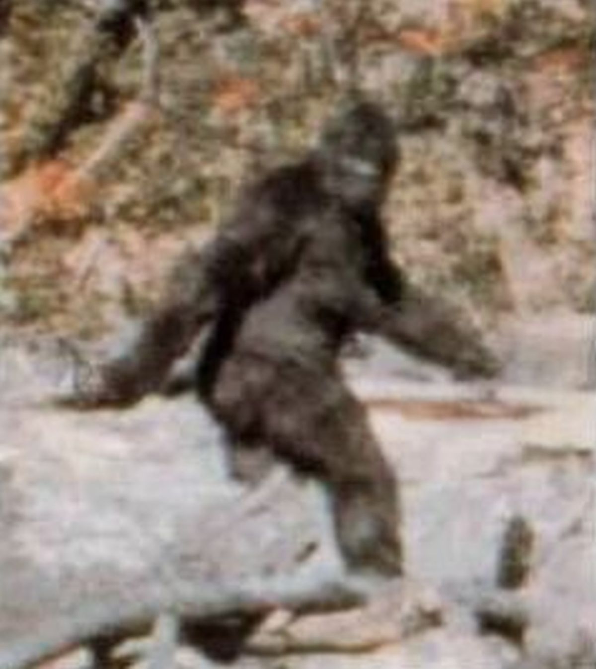 Study: More Photographs Of Bigfoot Than Of Hamas Fighters