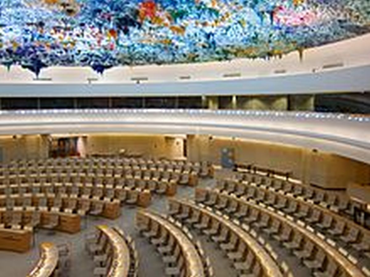 Human Rights Council Votes To Exclude Beheading From Mandate