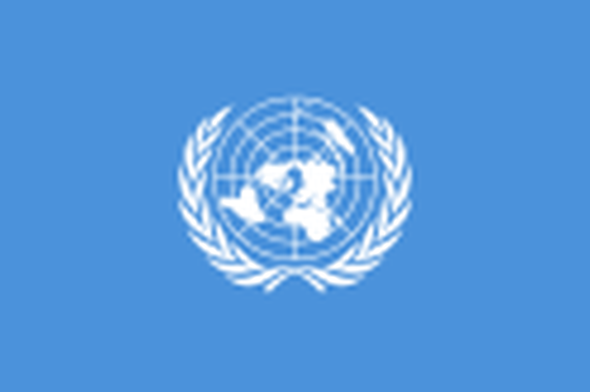 UN flag