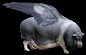 flying pig