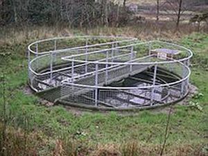 sewage tank