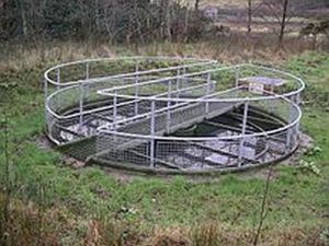 sewage tank