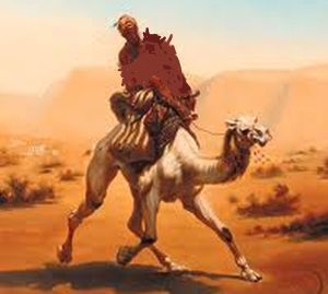 riding a camel