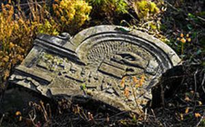 Jewish_cemetery_Otwock_Karczew_Anielin