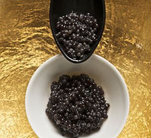 Caviar_and_spoon