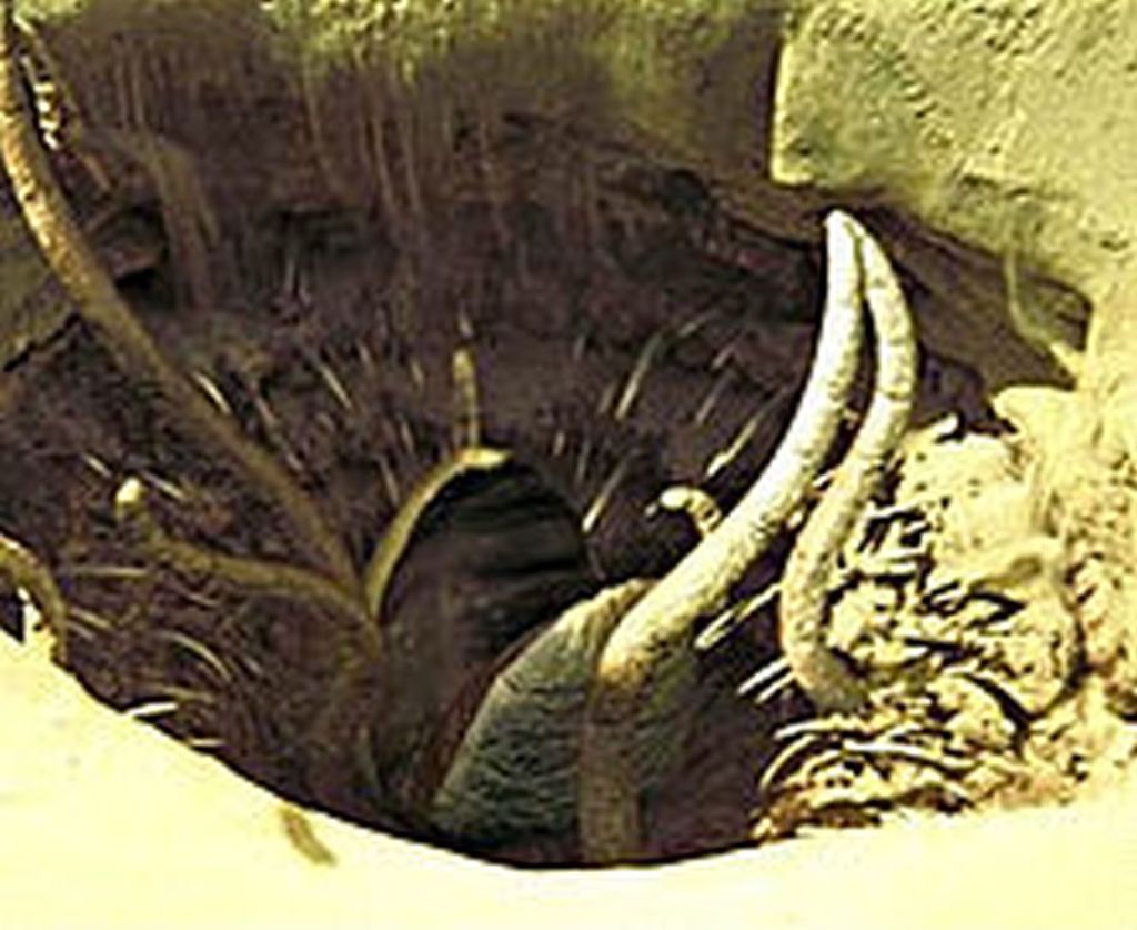 Sarlacc Discovered In Arabian Desert PreOccupied Territory