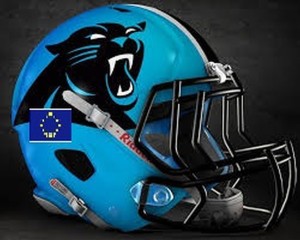 Panthers helmet