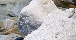 Israel Increases Mining Of Dead Sea Salt For Taking With Amnesty Reports