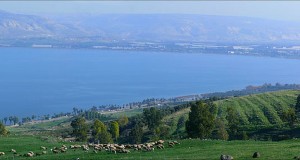 Study Finds Correlation Between Kinneret Water Level And Hype Over Kinneret Water Level