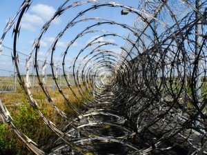 razor wire