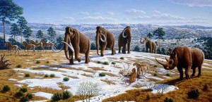 ice age fauna