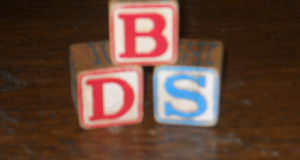 BDS Hoping To Gain Control Of Parent Committee At Preschool