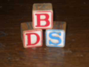 BDS blocks