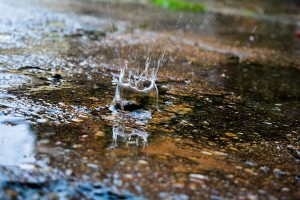 rain splash