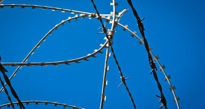 Organization Deeply Sorry It Omitted Jews From Holocaust Message Again