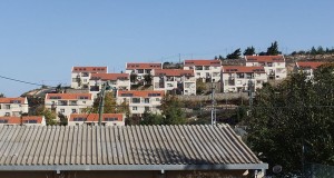 Settlement Construction Halted: Plans Only Reported By NGOs As New 43 Times