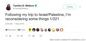 Tamika Mallory tweet