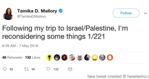 After Israel Trip, Tamika Mallory Realizes Palestinians Liars, Becomes Zionist