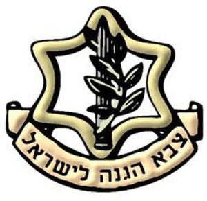 IDF insignia