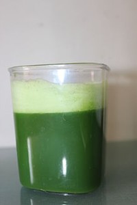 wheat grass juice