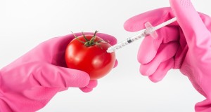 Saudi Reassures Progressives No GMOs Used In Eliminating Khashoggi