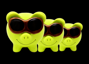 piggy bank shades