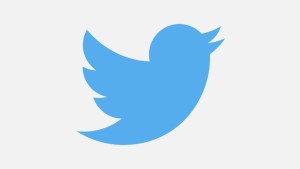 Twitter bird