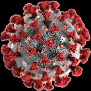 coronavirus model