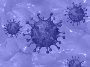 coronavirus image 2