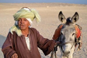 man with donkey