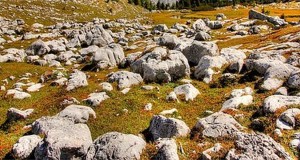 Rock Sits For 800 Million Years Only To Be Thrown Badly By Rioter