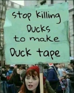 stop killing ducks