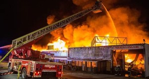Disaster Strikes At IfNotNow Simchat Torah Chametz Burning