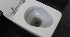 Mossad Makes Palestinian Toilet Seats Extra-Cold In Winter