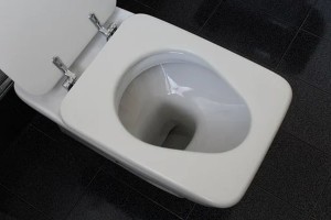 toilet