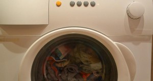 Promising New Fungus Species Grows On Laundry Left In Washer For 3rd Day