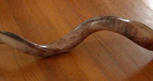 Man Bragging A Little Too Much About Size Of His Shofar