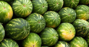 Gazans Panic As US Airdrops Watermelons