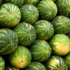 Gazans Panic As US Airdrops Watermelons