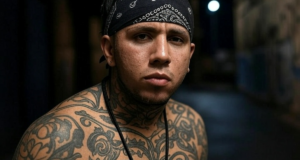 MS-13 Regrets Not Investing As Much As Islamists In Cultivating Ivy League Support