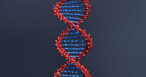 Scientists Isolate Unique Palestinian Gene For Permanent Refugee Status