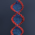 Scientists Isolate Unique Palestinian Gene For Permanent Refugee Status