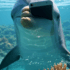Dolphin That Snagged Greta’s Thrown-Overboard iPhone Disturbed At Content