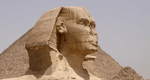 Egypt Willing To Resettle Palestinians In Some Country Other Than Egypt