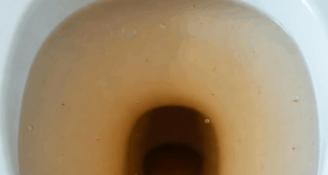 Knesset Plumbing System Unable To Handle Quantity Of Crap Spewing Forth