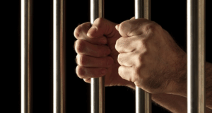 Mass-Incarceration Proponents Tout Data Showing 75% Cut In Crime If All MKs Jailed