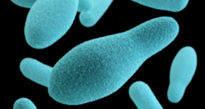Air In Palestinian Areas Contains 21% Oxygen, Toxic To Many Species Of Bacteria