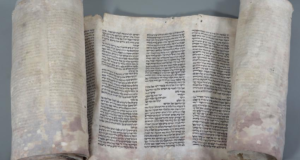 Moses Grateful For Copy-Paste When Writing Tribal-Prince Offerings Portion