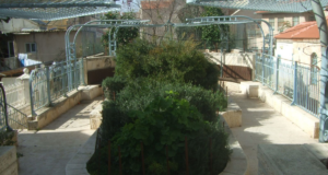 Synagogue In Bomb Shelter Omits Blessing For Peace, Hopes War Sustains Attendance